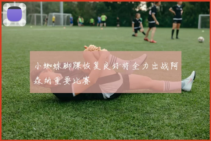 小蜘蛛脚踝恢复良好将全力出战阿森纳重要比赛