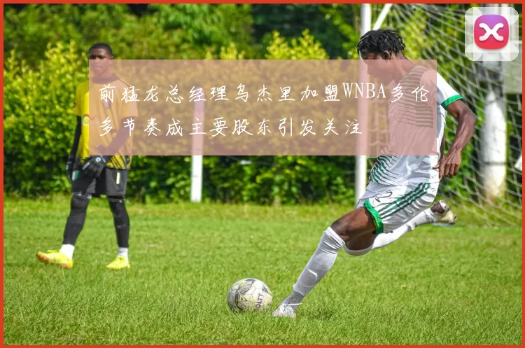 前猛龙总经理乌杰里加盟WNBA多伦多节奏成主要股东引发关注